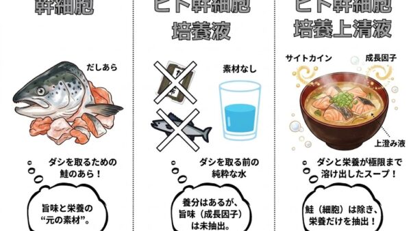 美に欠かせないのはあら汁！